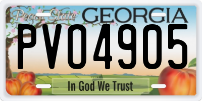 GA license plate PVO4905