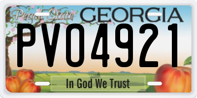GA license plate PVO4921