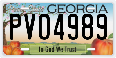 GA license plate PVO4989