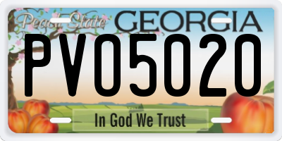 GA license plate PVO5020