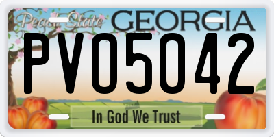 GA license plate PVO5042