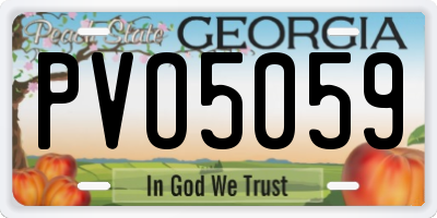 GA license plate PVO5059