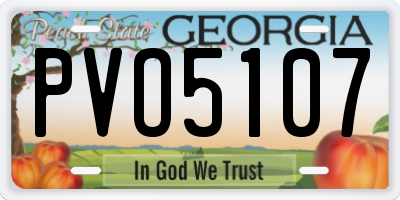 GA license plate PVO5107