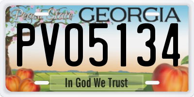 GA license plate PVO5134