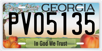 GA license plate PVO5135