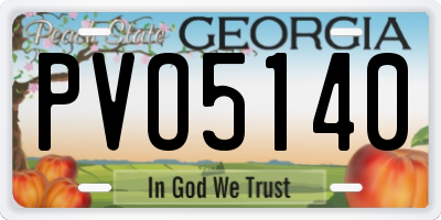 GA license plate PVO5140
