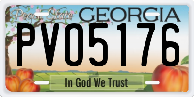 GA license plate PVO5176