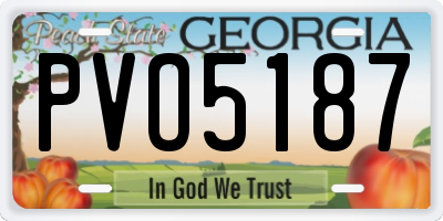 GA license plate PVO5187