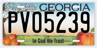 GA license plate PVO5239