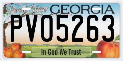 GA license plate PVO5263