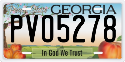 GA license plate PVO5278