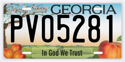 GA license plate PVO5281