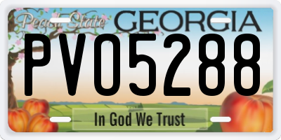 GA license plate PVO5288