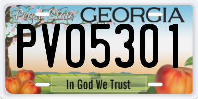 GA license plate PVO5301
