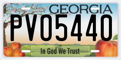 GA license plate PVO5440