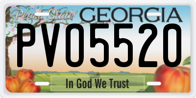 GA license plate PVO5520