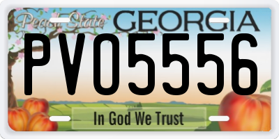 GA license plate PVO5556