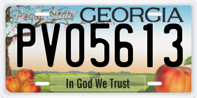 GA license plate PVO5613