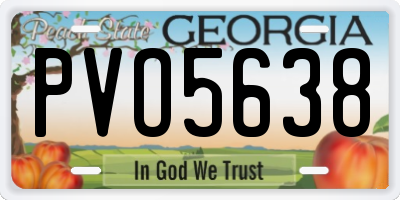 GA license plate PVO5638