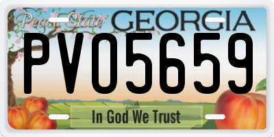 GA license plate PVO5659