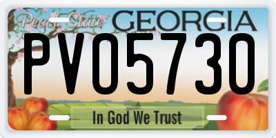 GA license plate PVO5730