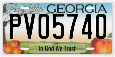 GA license plate PVO5740