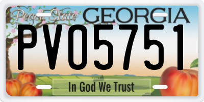 GA license plate PVO5751
