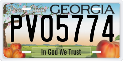 GA license plate PVO5774