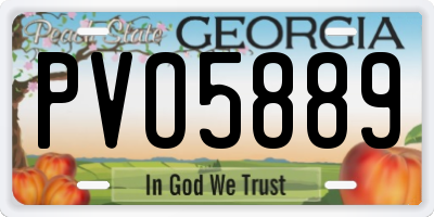 GA license plate PVO5889