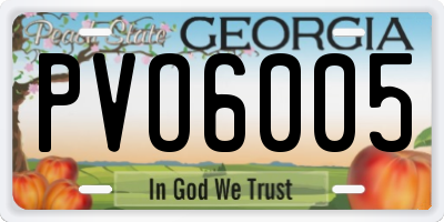 GA license plate PVO6005