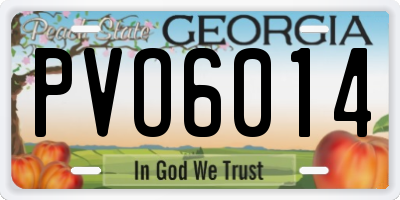 GA license plate PVO6014