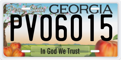 GA license plate PVO6015