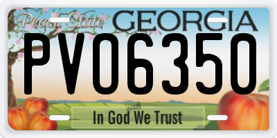 GA license plate PVO6350