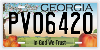 GA license plate PVO6420