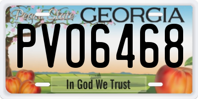 GA license plate PVO6468