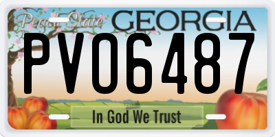 GA license plate PVO6487