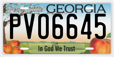 GA license plate PVO6645