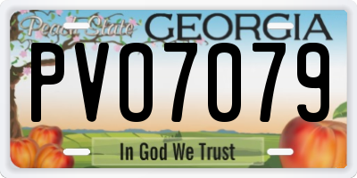 GA license plate PVO7079