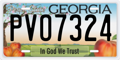 GA license plate PVO7324