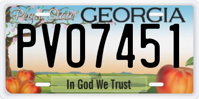 GA license plate PVO7451