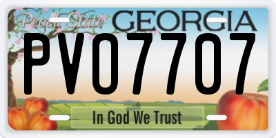 GA license plate PVO7707