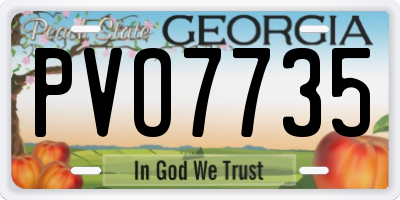 GA license plate PVO7735