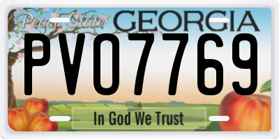 GA license plate PVO7769