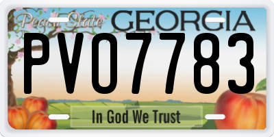 GA license plate PVO7783