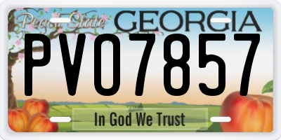 GA license plate PVO7857