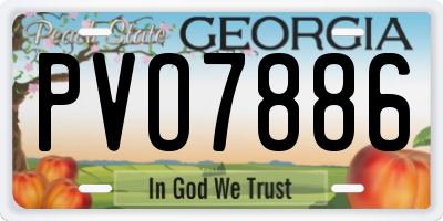 GA license plate PVO7886
