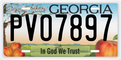 GA license plate PVO7897