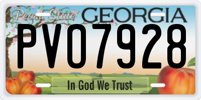 GA license plate PVO7928