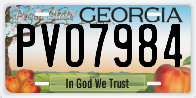 GA license plate PVO7984