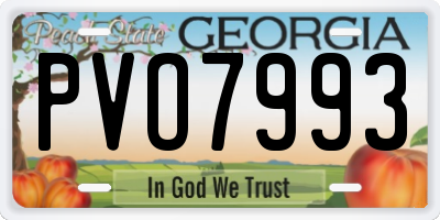 GA license plate PVO7993